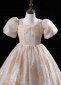 Vintage Champagne Jacquard Dress Banquet Flower Girl Dresses 2