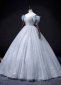 Feather Sleeve Deep V Neck Long Prom Dress with Sequins Beading 1