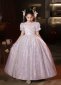 Children Queen Girls Silvery Mesh Birthday Formal Dress 3
