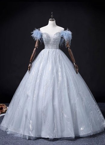 Feather Sleeve Deep V-Neck Long Prom Dress with Sequins Beading