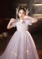 Children Queen Girls Silvery Mesh Birthday Formal Dress 2