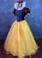 Deep Blue Women Pricess Cosplay Halloween Dress 2