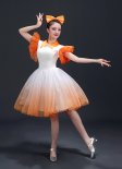 Carnival Stage Girls Dress Colorful Tutu Ball Gown