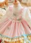Upscale Children Thanksgiving Princess Formal Dresses 1