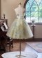 Applique Tulle Off the Shoulder Short Formal Dress 4