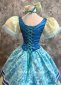 Blue Satin Adult Women Princess Cosplay Dress 4