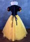 Deep Blue Women Pricess Cosplay Halloween Dress 3