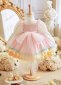 Upscale Children Thanksgiving Princess Formal Dresses 2