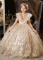 Champagne Children Ruffle Neck Sequin Mesh Princess Party Dress
