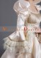 Champagne Baroque Rococo Wedding Victorian Dress With Long Tail 5