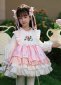 Girls Flower Princess Embroidered Layered Birthday Party Dress 3