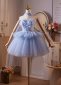 Blue Sweetheart Butterfly Decoration Short Party Dress 2