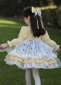 Thanksgiving Kids Flower Girls Lolita Princess Dresses 6