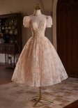 Pink A-line Stand Collar Sexy Tea-Length Tulle Lace Dress
