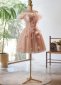 Pink Glitter Off the Shoulder Applique Feather Formal Dress 2