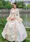 Victorian Floral Dresses Carnival Women Party Ball Gown