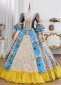 Blue Floral Brocade Historical European Court Victorian Ball Gown 3
