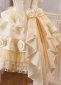 Champagne Lace Tiered Short Spaghetti Straps Graduation Dress 2