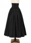 Victorian Gothic Steampunk Punk Girl Victorian Skirt 3