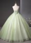 Applique Glitter Tulle Holiday Party Dress5