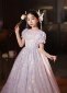 Children Queen Girls Silvery Mesh Birthday Formal Dress