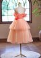 Applique Spaghetti Straps Short Cocktail Dresses 2