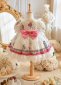 Girls Flower Lolita Lace Dress Evening Formal Dance Gown 3