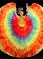 Women Colorful Ruffled Tulle Dresses 1