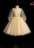 Champagne Girls Princess Sequin Holiday Party Dress
