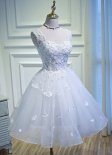 Sparkly Prom Dresses Short for Teens Dance Dress Glitter Lace Formal Dress
