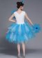 Women Tulle Tutu Dresses For Prom Party