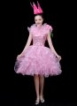 Girls Pink Party Tutu Dress Holiday Princess Mini Dresses