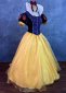 Deep Blue Women Pricess Cosplay Halloween Dress